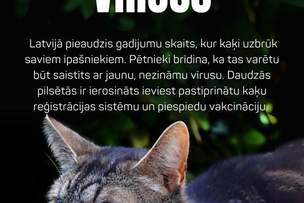 AP_Plakāts2 (1) AP_Plakāts2 (1)