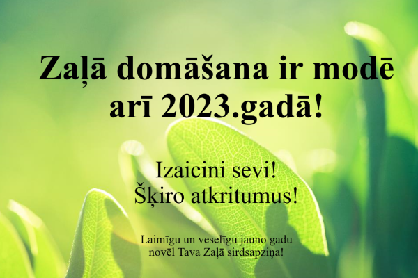 Screenshot 2023-01-07 at 19.12.40