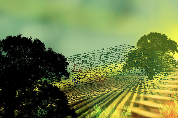 Screenshot 2023-03-31 at 15.57.42