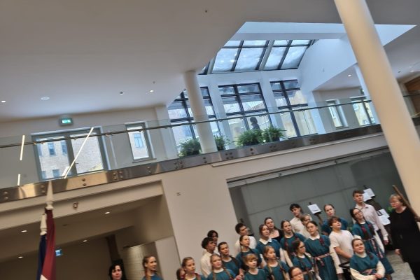 WhatsApp Image 2026-02-20 at 16.13.55