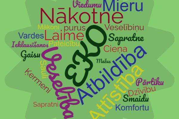wordcloud-Aptaujas-rez